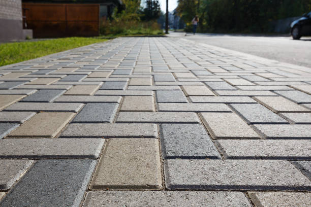 Best Best Driveway Pavers  in Rocky Mount, NC
