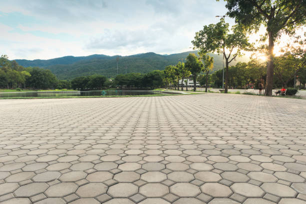 Best Driveway Pavers Near Me  in Rocky Mount, NC