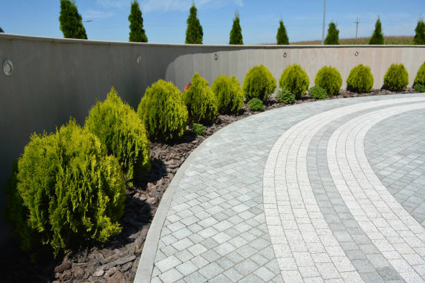 Best Driveway Pavers Near Me  in Rocky Mount, NC