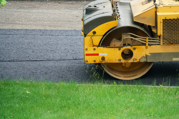 Best Driveway Paving Near Me  in Rocky Mount, NC